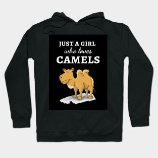 Just A Girl Who Loves Camels Hoodie